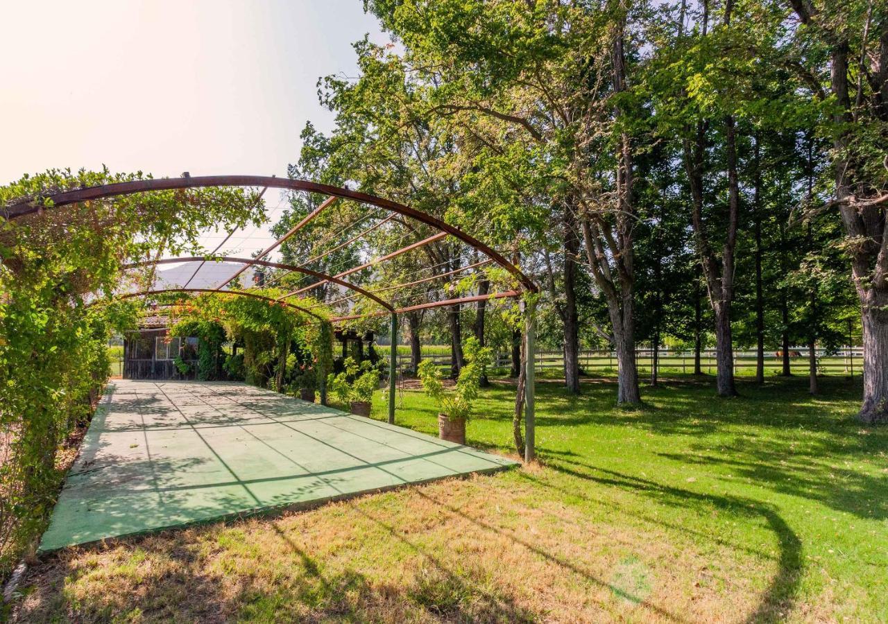 Hotel Boutique Almahue Pichidegua Екстер'єр фото